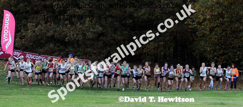 Start of the junior womens  National Cross Country Relays. Photo: David T. Hewitson/Sports for All Pics